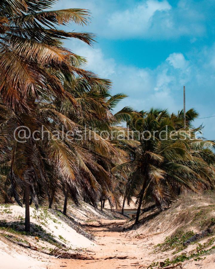 Chales Paraiso De Maracajau 1 Villa Eksteriør bilde